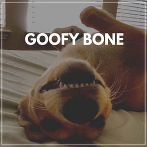 Goofy Bone - Sleeping Music For Dogs
