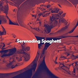 Serenading Spaghetti - Spanish Cafe Music