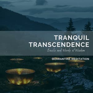 Tranquil Transcendence: Bowls and Words of Wisdom - Quarantine Meditation