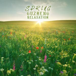 Spring Guzheng Relaxation: Beautiful Traditional Chinese Music for Deep Rest - Therapeutic Music Zone