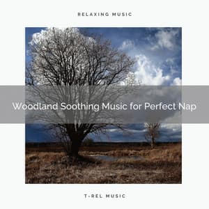 2021 New: Woodland Soothing Music for Perfect Nap - Sleep Music System