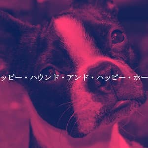 ハッピー・ハウンド・アンド・ハッピー・ホーム - Japan Cafe BGM