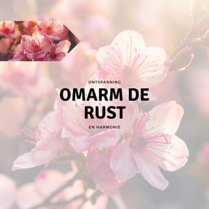 Omarm de Rust - Ontspanning en Harmonie