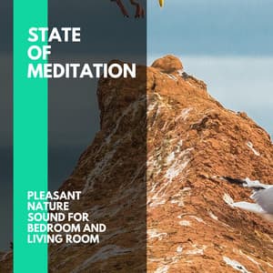 State of Meditation - Pleasant Nature Sound for Bedroom and Living Room - Incredible Oceans