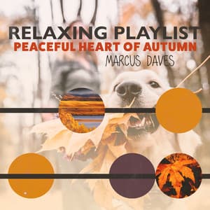 Relaxing Playlist: Peaceful Heart of Autumn - Marcus Daves
