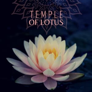 Temple of Lotus: Relaxing Japanese Music for Blissful Zen Meditation in the Asian Garden - Exotic Relax Music World