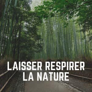 Laisser Respirer LA Nature - Sons de la nature