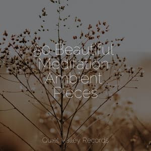 50 Beautiful Meditation Ambient Pieces - Deep Sleep Meditation