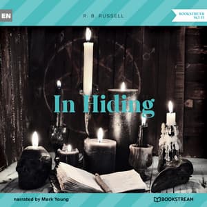In Hiding - Mark Young