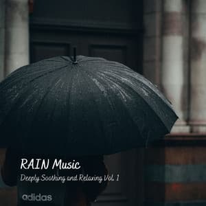 RAIN Music: Deeply Soothing and Relaxing Vol. 1 - Liquid Planet Recordings