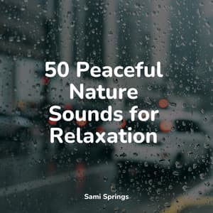 50 Peaceful Nature Sounds for Relaxation - Nature Sounds XLE Library