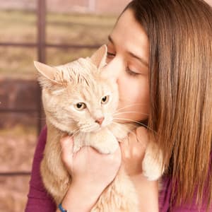 Soothing Companions: Calming Meditation Tunes for Contented Pets - Pet Music