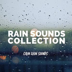 Calm Rain Sounds - Rain Sounds Collection