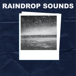 Raindrop Sounds - Rain Makers