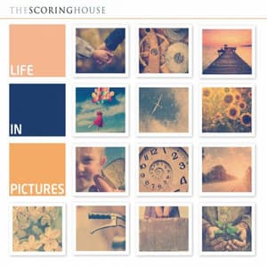 Life in Pictures - Alexander Gray