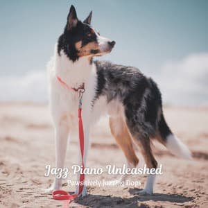 Jazz Piano Unleashed: Pawsitively Jazzing Dogs - Dog Jazz Playlists