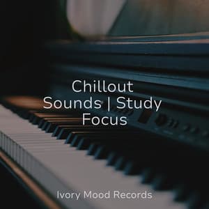 Chillout Sounds | Study Focus - Ivory Mood