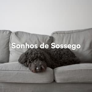 Sonhos de Sossego - Música de Cachorro Calmante