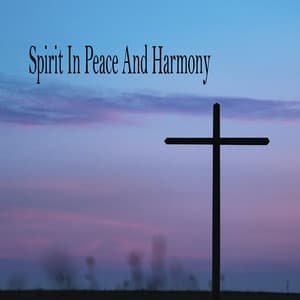 Spirit In Peace And Harmony - Praise and Worship Orchestra