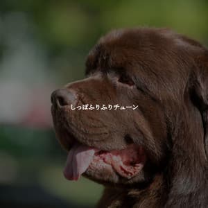 しっぽふりふりチューン - Restaurante de Musica de Lujo