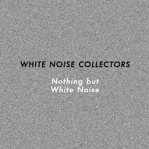 Nothing but White Noise - White Noise Collectors