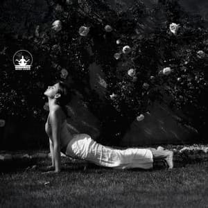 Light Pours Through the Spine - Mantra Yoga Music Oasis