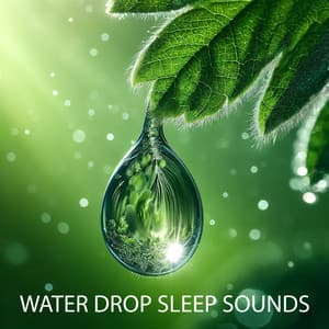 Water Drop Sleep Sounds - ASMR Baby Sleep Sounds
