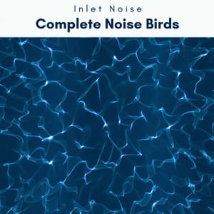 2 0 2 2 Complete Noise Birds - Inlet Noise