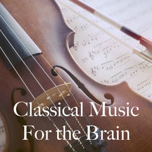 Classical Music For the Brain - Studying Music Group