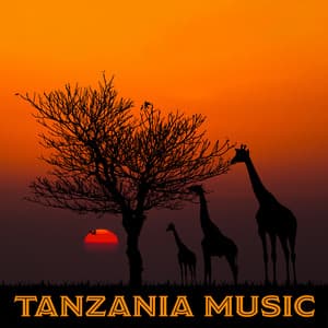 Tanzania Music - Katarzyna Mazur