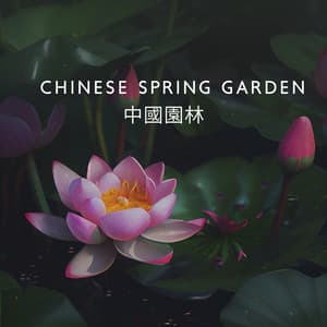 Chinese Spring Garden 中國園林 - Relaxing Chinese Background Music - Traditional Chinese Ambience – 中国氛围