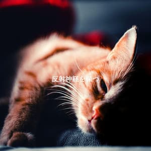 反射神経を保つ - French Pastry Shop Music