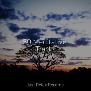 50 Meditative Tracks - Reiki Tribe