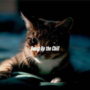 Boost Up the Chill - Jazz Sleeping Music