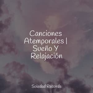 Canciones Atemporales | Sueño Y Relajación - Meditar Profundamente