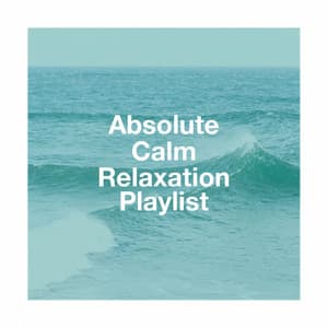 Absolute calm relaxation playlist - Musique de Relaxation