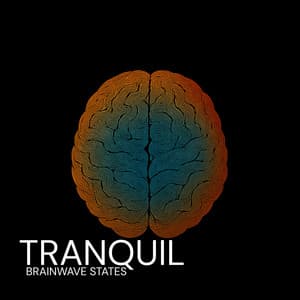 Tranquil Brainwave States With Solfeggio Resonance - Cognitive Clarity Waves