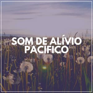 Som de Alívio Pacífico - Academia de Meditação Buddha