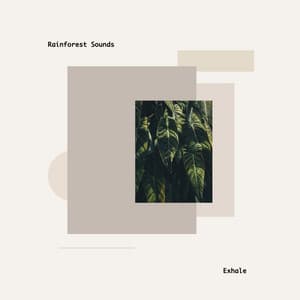 Exhale - Rainforest Sounds