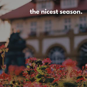 the nicest season music. - Rilassante Jazz Musica