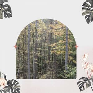 Trio Jazz - Bgm for Smooth Downtime - Sunday Morning Jazz Vibes