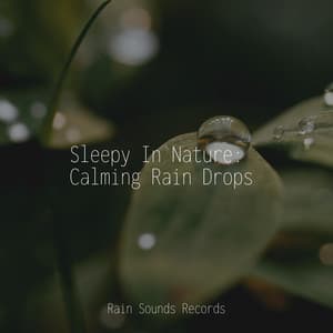 Sleepy In Nature: Calming Rain Drops - Sonidos de la Naturaleza Relajacion