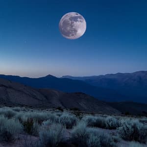 Música Lofi De Ensueño: Vibras Para El Sueño - Ondas suaves