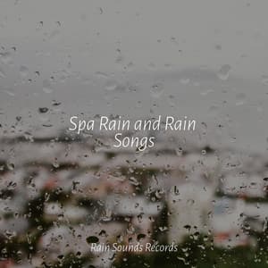 Spa Rain and Rain Songs - Study Music & Sounds