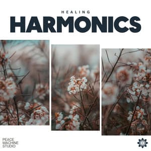 Healing Harmonics - Interstellar Meditation Music Zone