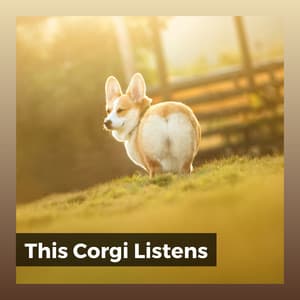 This Corgi Listens - Sleeping Music For Dogs