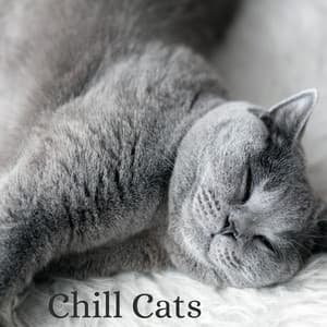 Chill Cats - Cat Relaxing Sounds TA