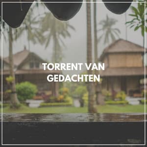 Torrent van gedachten - Geluiden van de Regen