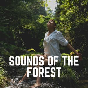 Sounds of the Forest - Soothing Nature Sounds