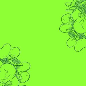 Jazz Organ and Bossa Guitar Trio - Alegre Desayuno Jazz